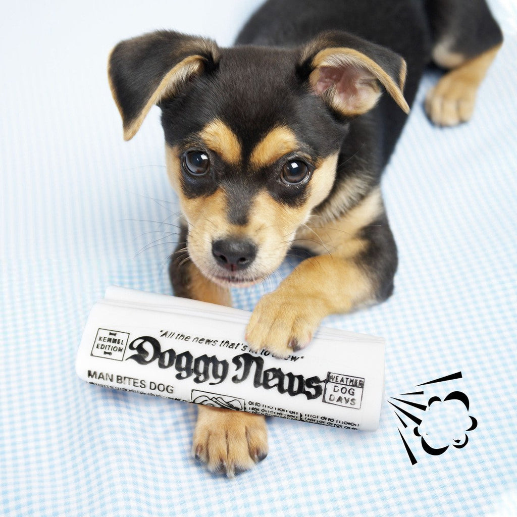 Squeaky Dog Toy for Chewing and Training